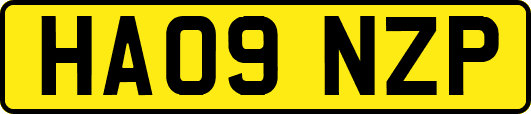HA09NZP