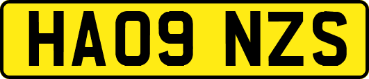 HA09NZS