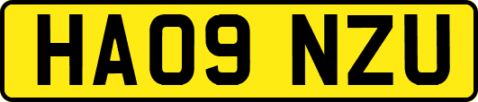 HA09NZU