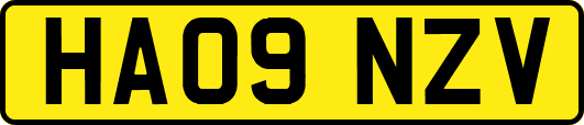 HA09NZV