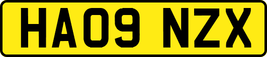 HA09NZX