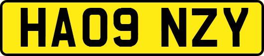 HA09NZY