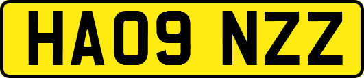 HA09NZZ
