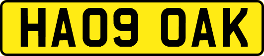 HA09OAK