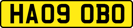 HA09OBO