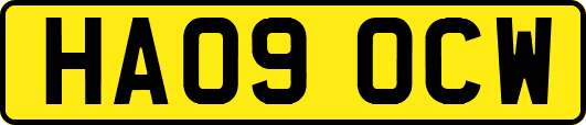 HA09OCW