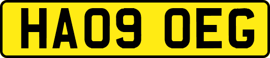 HA09OEG