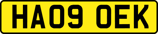 HA09OEK