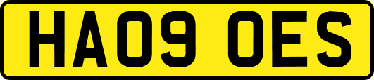 HA09OES
