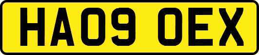 HA09OEX