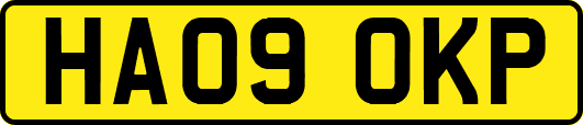 HA09OKP