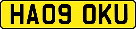 HA09OKU