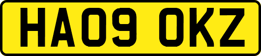 HA09OKZ