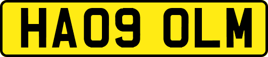 HA09OLM