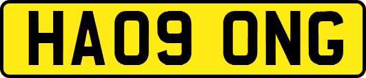 HA09ONG