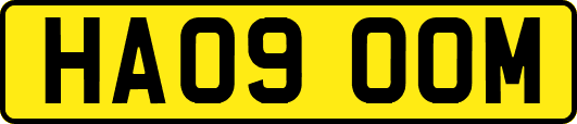 HA09OOM