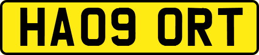 HA09ORT