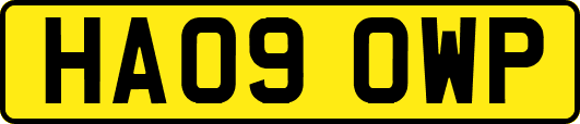 HA09OWP