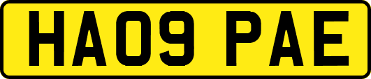 HA09PAE