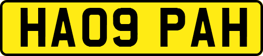 HA09PAH