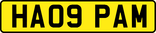 HA09PAM
