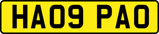HA09PAO