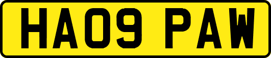 HA09PAW