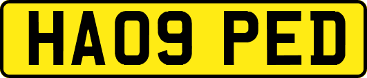 HA09PED
