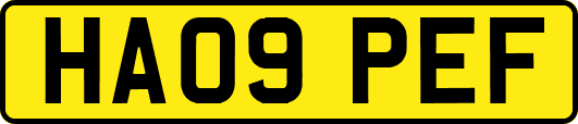 HA09PEF