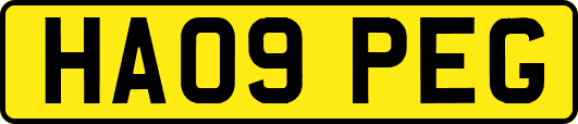 HA09PEG