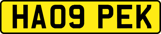 HA09PEK
