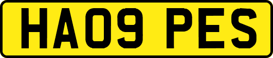 HA09PES