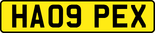 HA09PEX