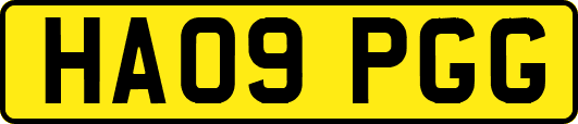 HA09PGG