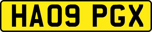 HA09PGX