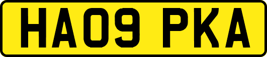 HA09PKA