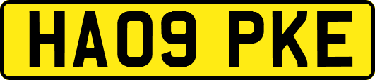 HA09PKE