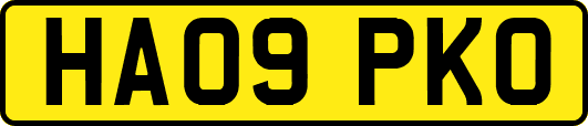 HA09PKO