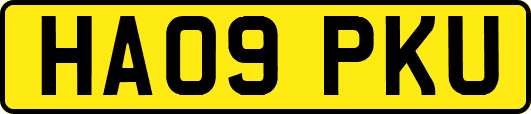 HA09PKU