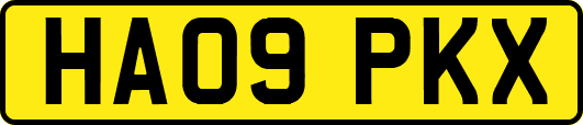 HA09PKX