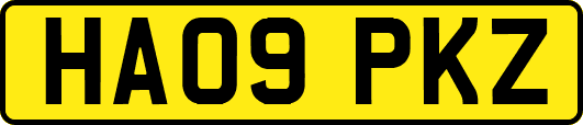 HA09PKZ