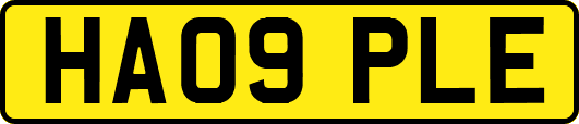 HA09PLE