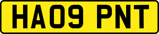 HA09PNT