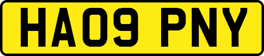 HA09PNY