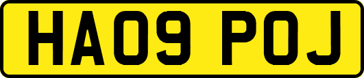 HA09POJ
