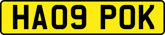 HA09POK