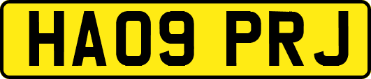 HA09PRJ