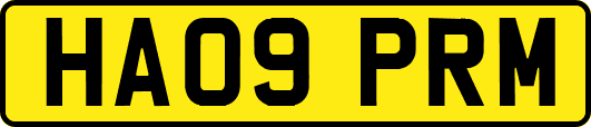 HA09PRM