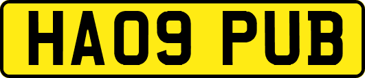 HA09PUB