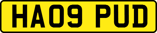HA09PUD